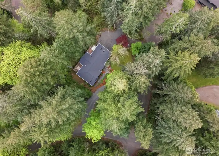 Nestled in the trees, this home is situated on 1.33 acres.