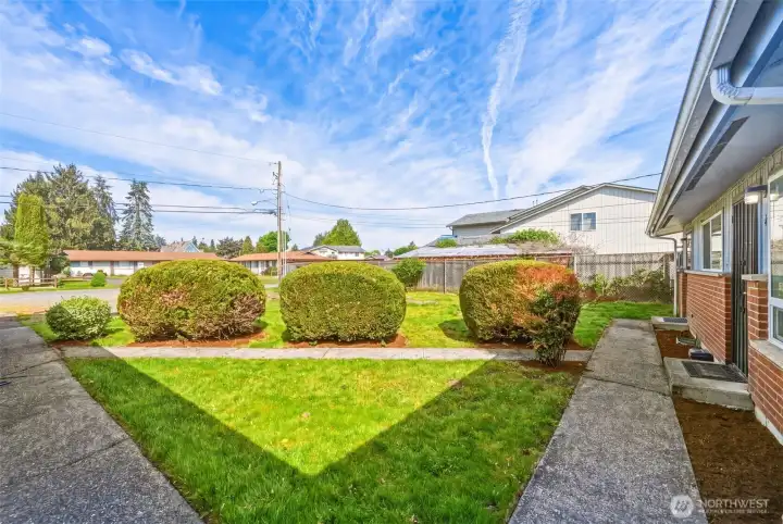 Apartment walkways and front yard, looking out towards the parking area.
