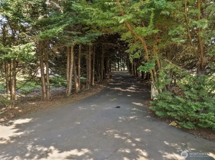A secluded cedar-lined driveway creates a striking and private arrival, with a natural canopy that offers shade, character, and year-round beauty. A secluded cedar-lined driveway creates a striking and private arrival, with a natural canopy that offers shade, character, and year-round beauty.