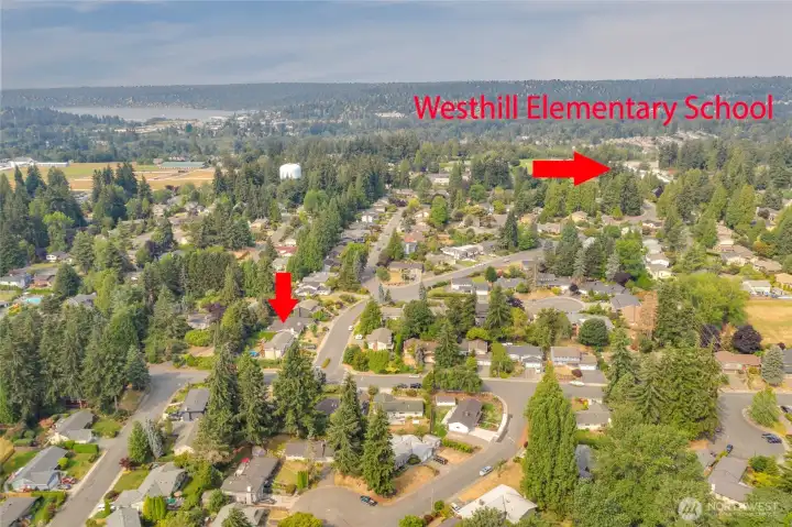 Welcome to Conifer View! Welcome to Conifer View!