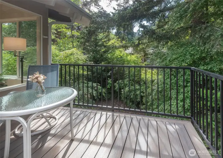 One of two new composite decks. This one is off the primary suite.