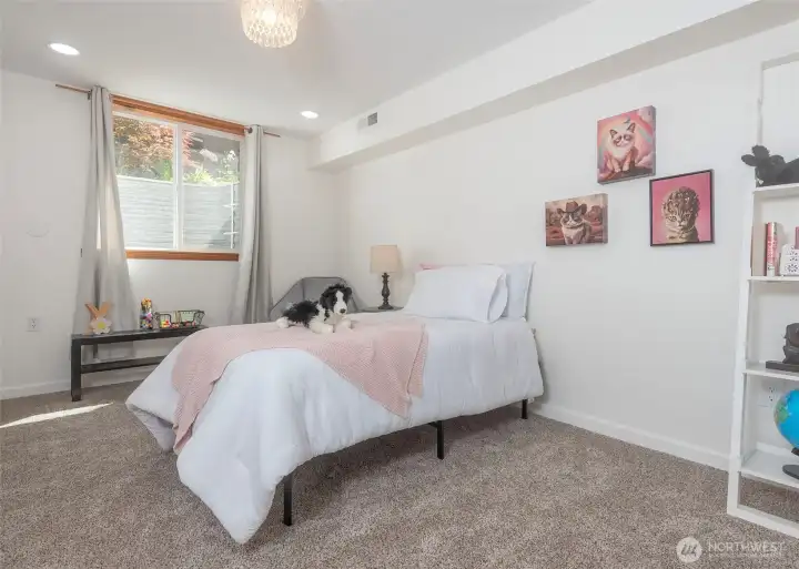 Bedroom number four on the lower level with a well appointed walk in closet.