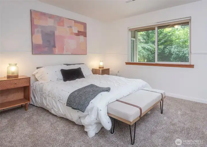 Lower level bedroom- PLUS. Huge room with closet and lounging area.