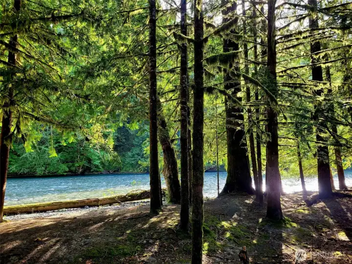 river front on the Dosewallips River