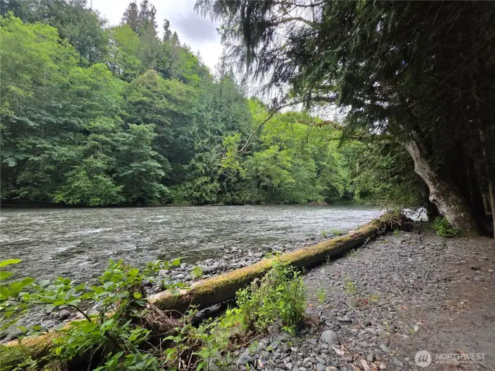 beautiful Dosewallips River frontage