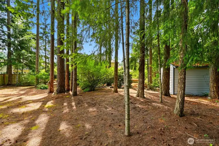 Feel the quiet as you gaze across the natural backyard landscaping! Feel the quiet as you gaze across the natural backyard landscaping!
