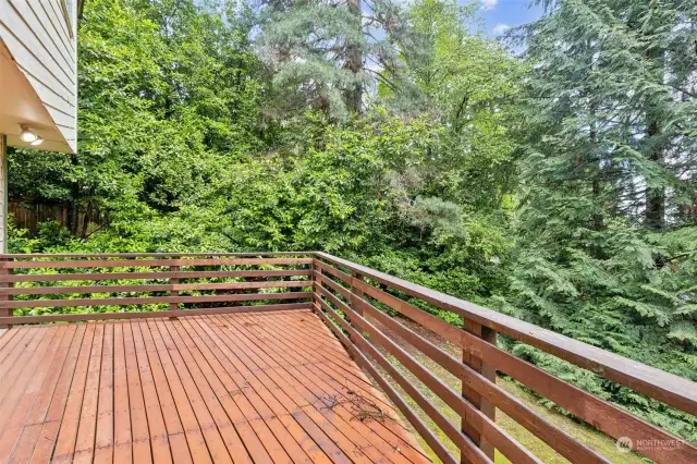Large Deck w. Access from Kitchen & Dining Room