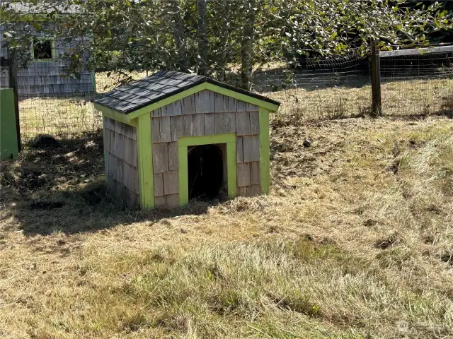 dog house