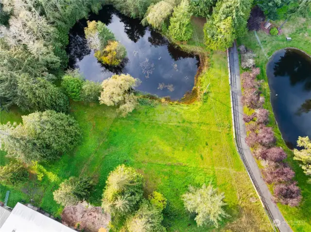 Pond for the horses.