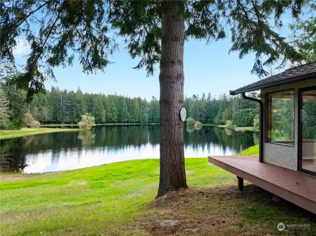 The home is literally steps from the lakefront.