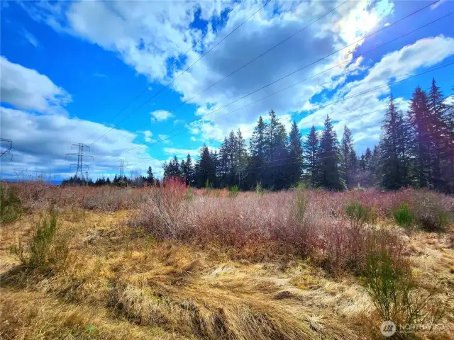 Nice large piece of land