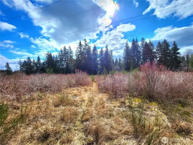 Wide open spaces - sunny and clear