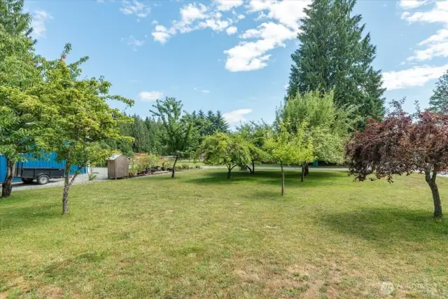 Various fruit trees include 2 cherry (bing & yellow), 3 plum (the two red trees & 1 green), Asian Pear Tree, 1 hazelnut bush.
