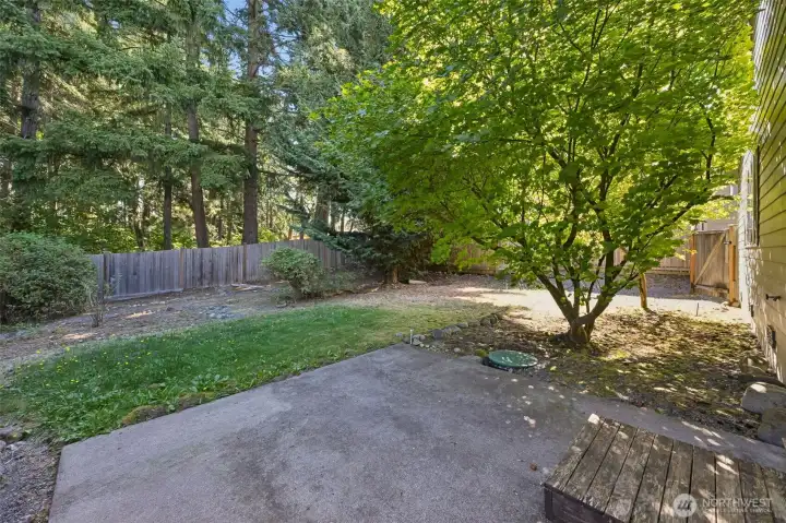 Fenced back yard