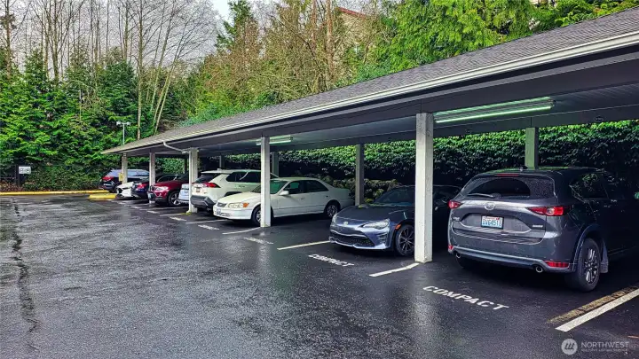 Another view of parking