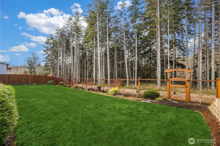 Backyard with HOA common area/open space beyond your fence.