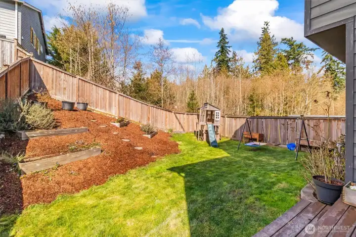Fully fenced backyard with lawn and play area.