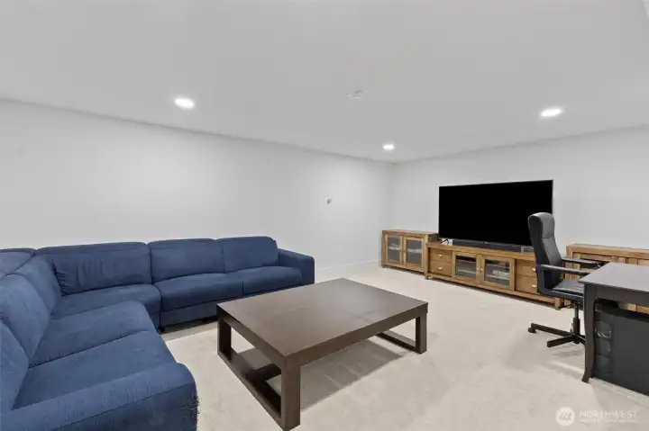Media room in basement