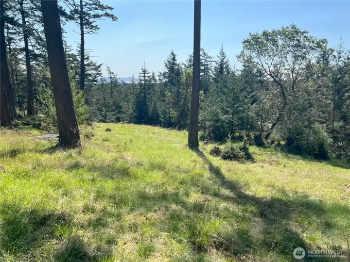 Located on a pretty south-facing hillside with distant water view