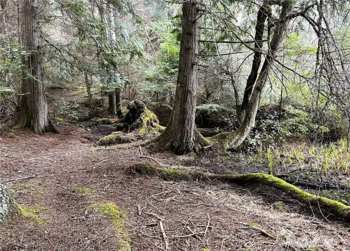 A beautiful trail system through common area