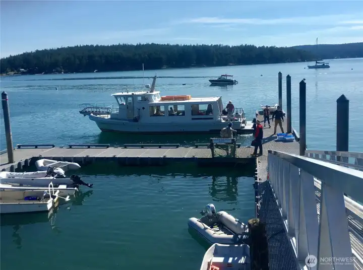 Water taxi arriving at dock