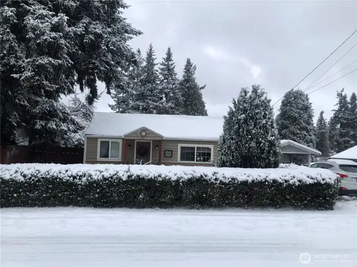 winter view winter view
