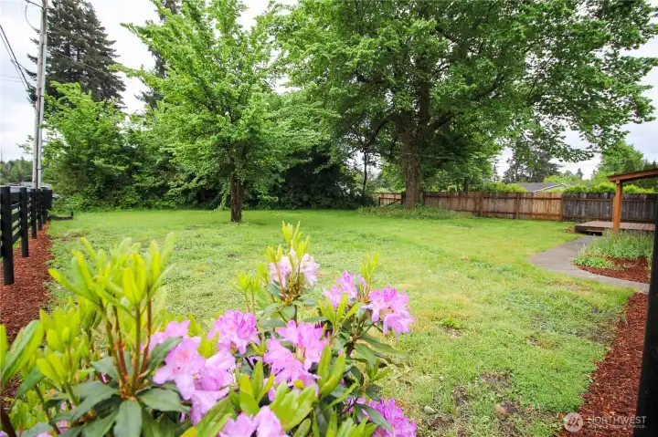 Unit A Yard