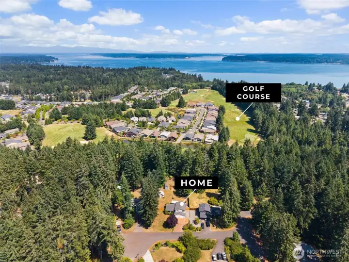 The home backs up to the greenbelt and hole 17 of Hawks Prairie golf course