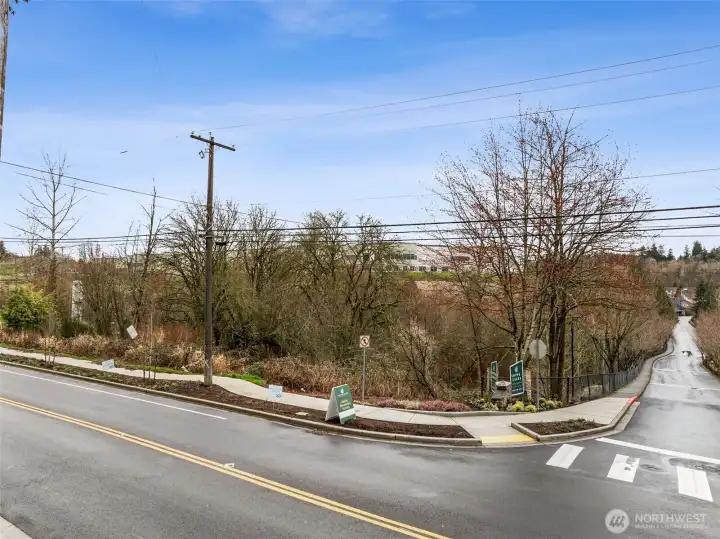 Curb Cuts