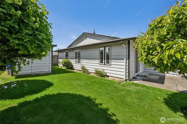 Private Backyard with a Fruit Tree and Room for a Garden!