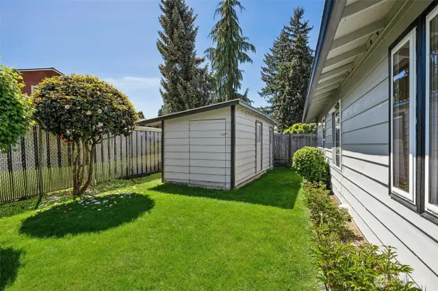 Large Shed for tons of Storage or ???