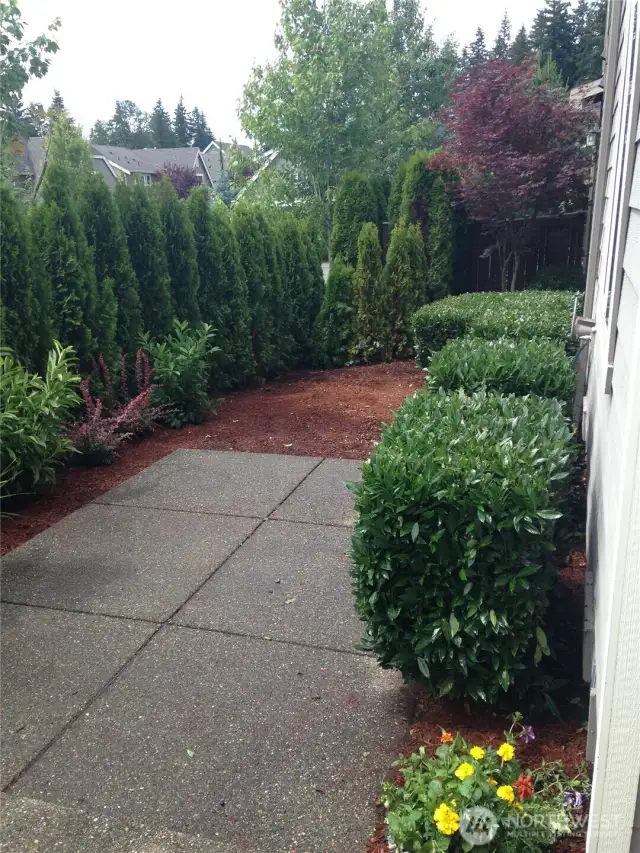 Nice outdoor space surrounded by greenery.