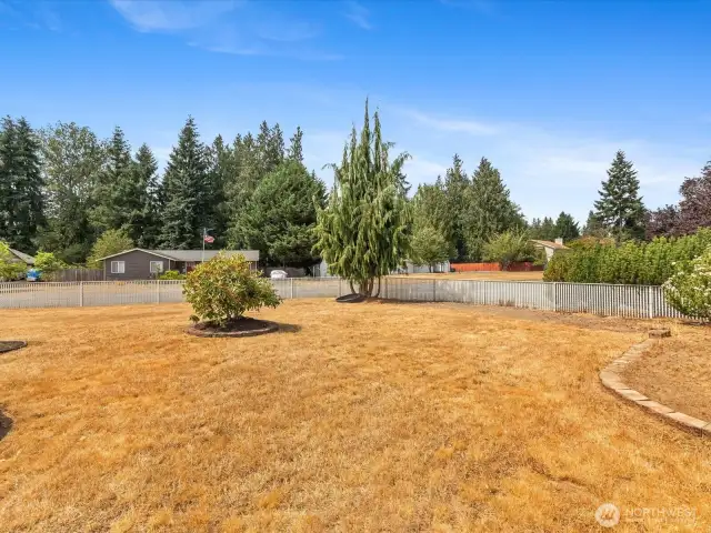 Large fully fenced Yard.