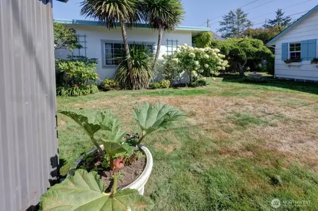 Fully fences yard with mature landscaping.