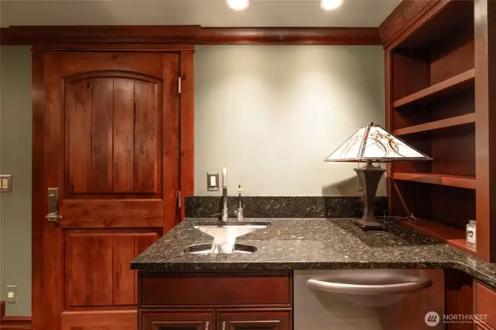Sink in the theater plus two drawer fridge.