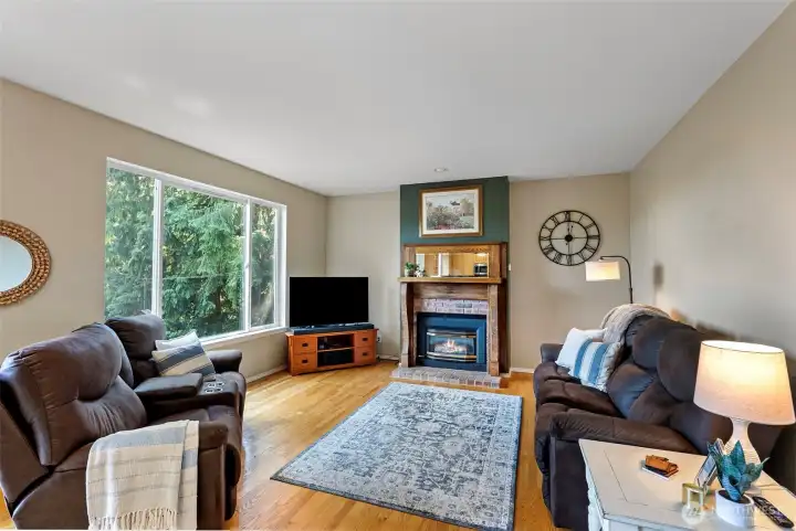 Living Room and Fireplace