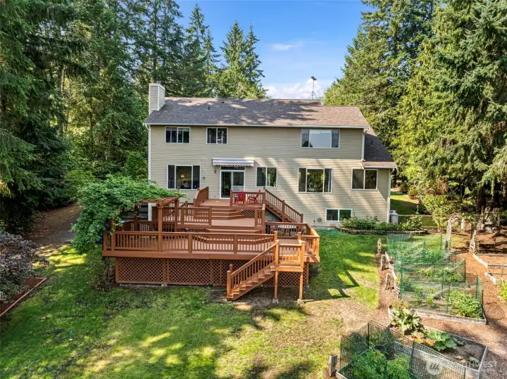 Drone shot of backyard