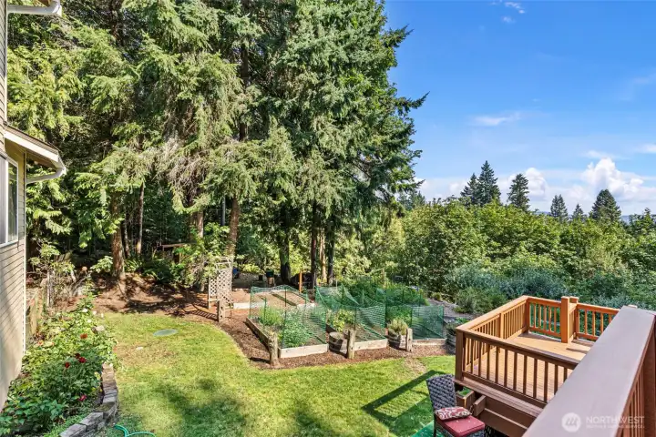 Backyard and Garden Beds