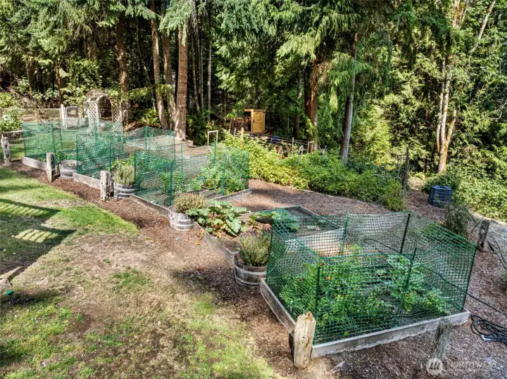 Raised Garden Beds