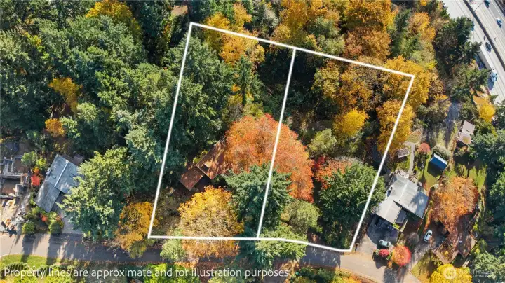 2 lots. The lines are an estimate