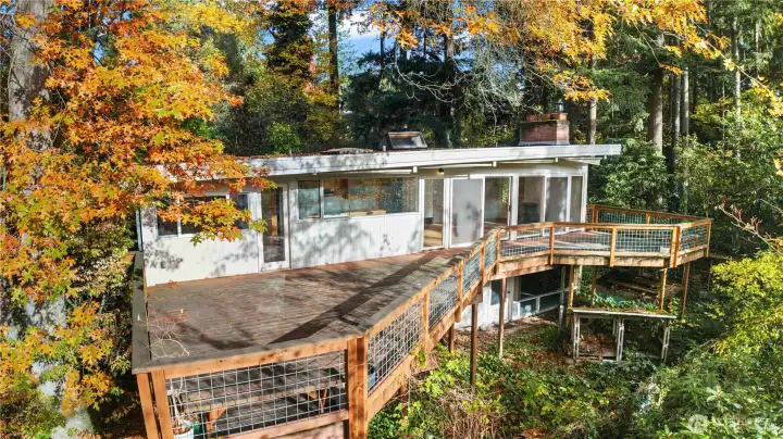 Drone of the back deck