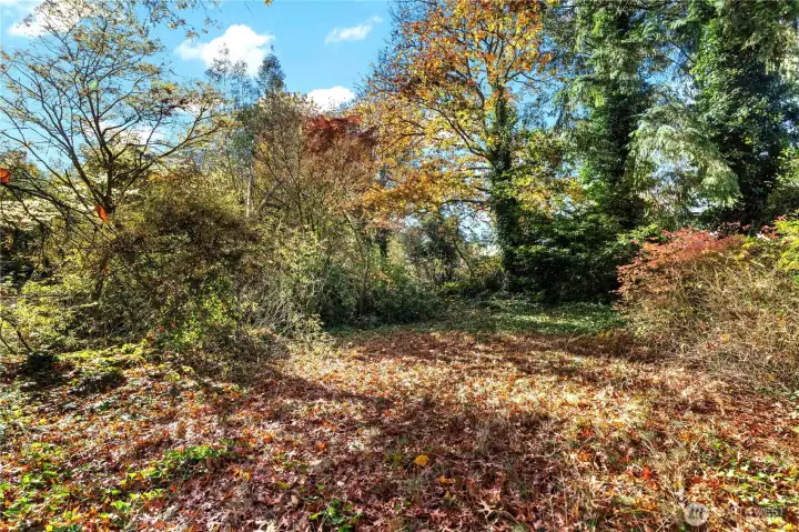 Flat area on the lot