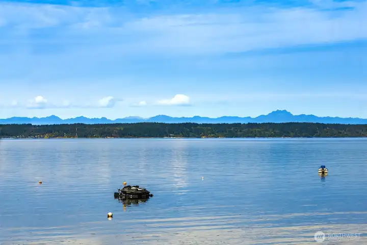 81 ft of saltwater waterfront to enjoy.