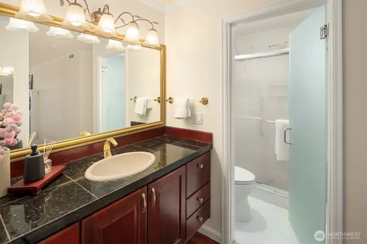 Primary Shower