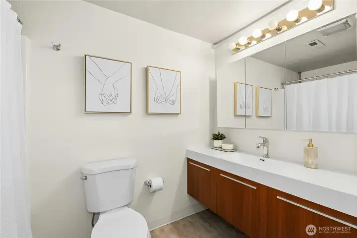 Bathroom | Large countertop and vanity mirror/medicine cabinet | Well lit with 6 vanity bulbs