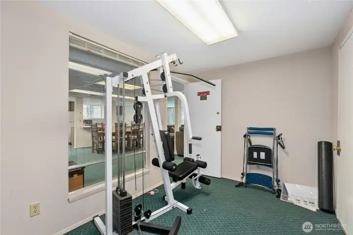 Weight bench | Treadmill area