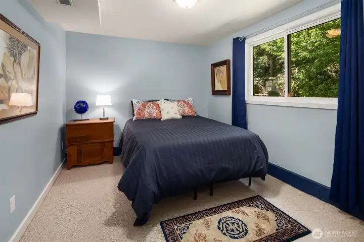 Lower level bedroom