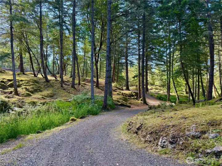 Driveway to lower property Driveway to lower property
