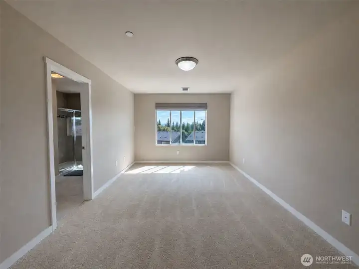 Primary room