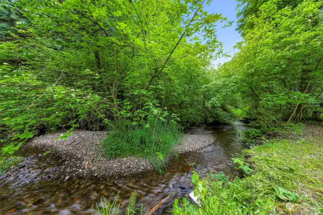 Deer Creek, a year 'round creek is part of the property in the back, gentle slope down to the creek from the home.